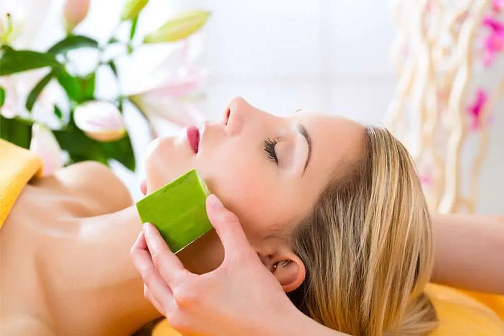 Wellness Retreats Best Resorts for Mind Body and Soul