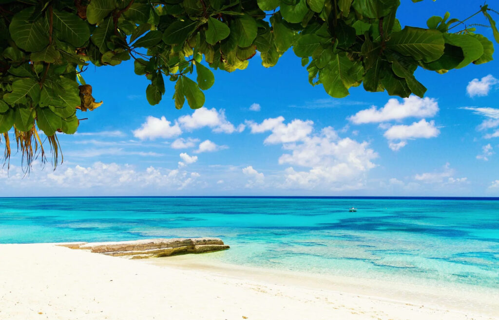 Island Island