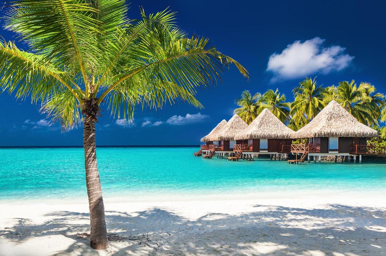 Plan Your Dream Stay 7 Bucket List Hotels for Luxury Travelers